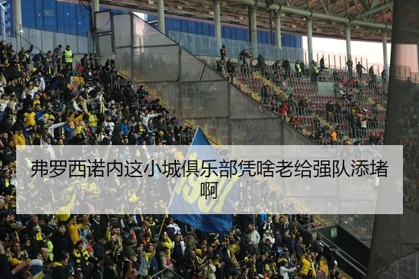 弗罗西诺内这小城俱乐部凭啥老给强队添堵啊