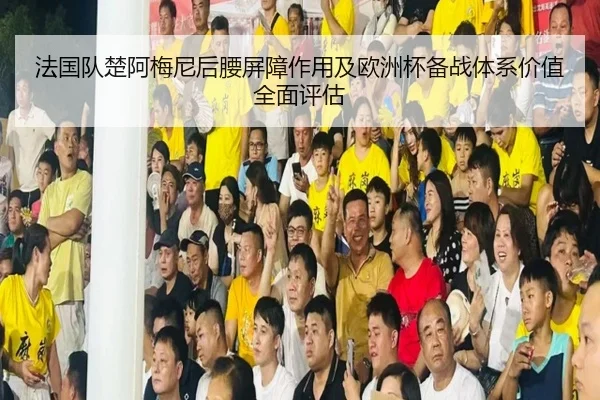法国队楚阿梅尼后腰屏障作用及欧洲杯备战体系价值全面评估