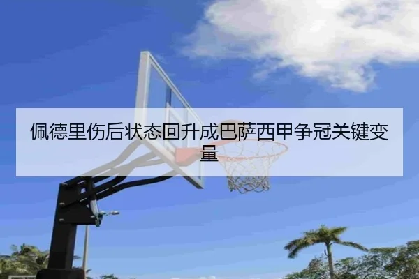 img_1780502795540_697_1_868.jpg