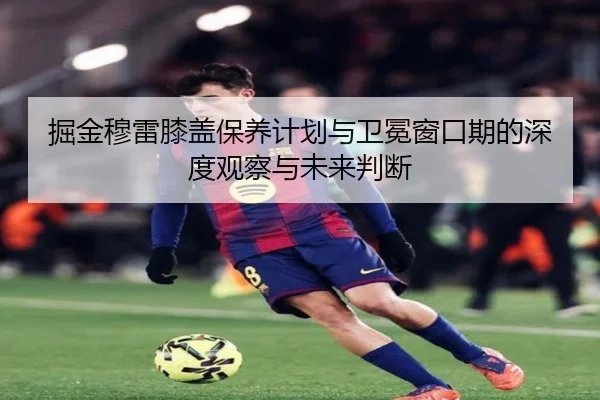 掘金穆雷膝盖保养计划与卫冕窗口期的深度观察与未来判断