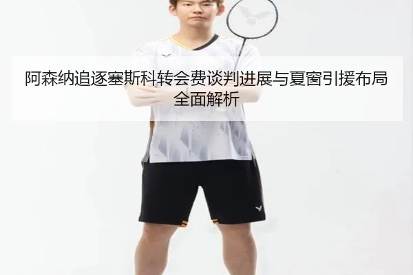 阿森纳追逐塞斯科转会费谈判进展与夏窗引援布局全面解析